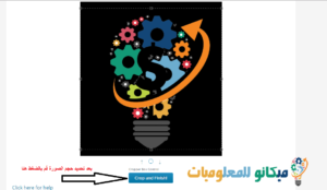 وضع صورة رمزية لحسابك في ووردبريس باستخدام Gravatar 7