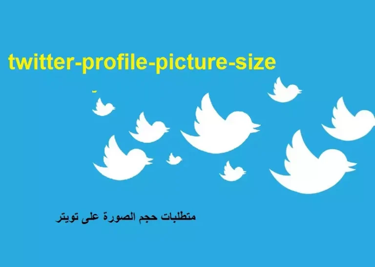 متطلبات حجم صورة الملف الشخصي على تويتر 2