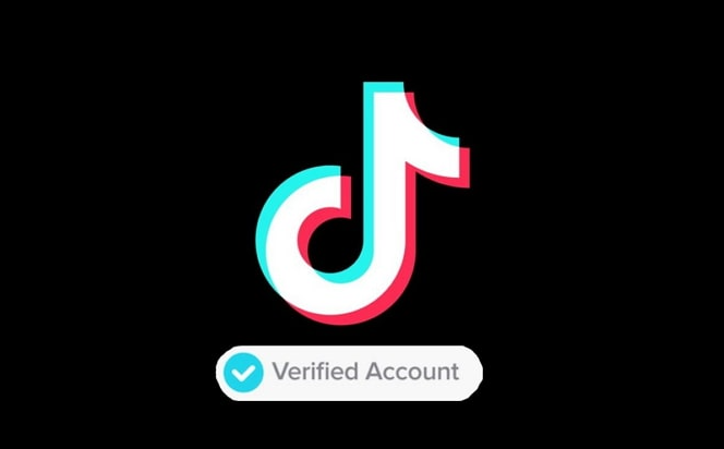 كيفية الحصول على شارة التحقق في تيك توك TikTok مجانا 2