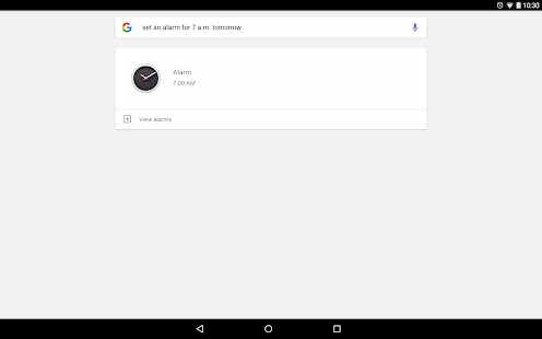 Google Assistant