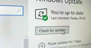 صورة لإعدادات Windows Update في Windows 10