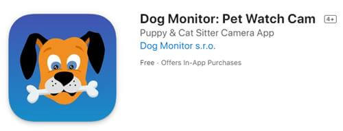 Dog Monitor: Pet Monitoring Camera