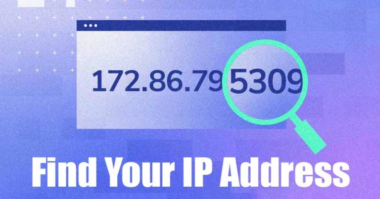 كيفية البحث عن عنوان IP العام والمحلي (ويندوز و ماك) 4