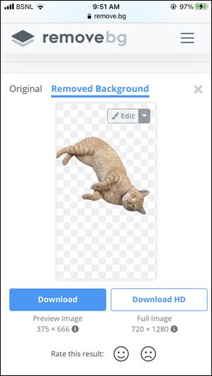 Remove.BG Image Download
