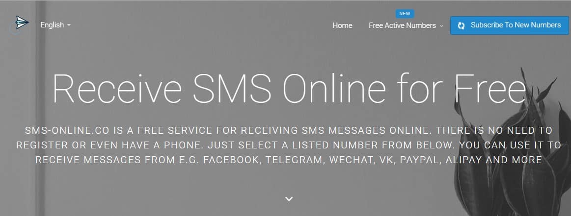 شركة SMS ONLINE