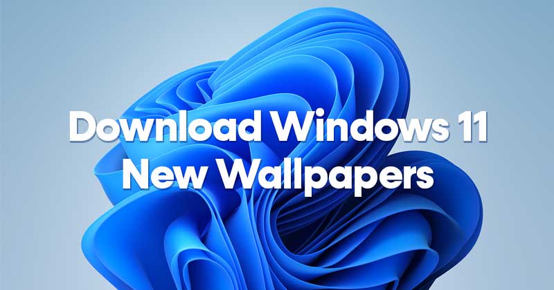 Hình nền Window 11  Tổng hợp Wallpaper Win 11 4k Full HD