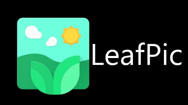 Leaf