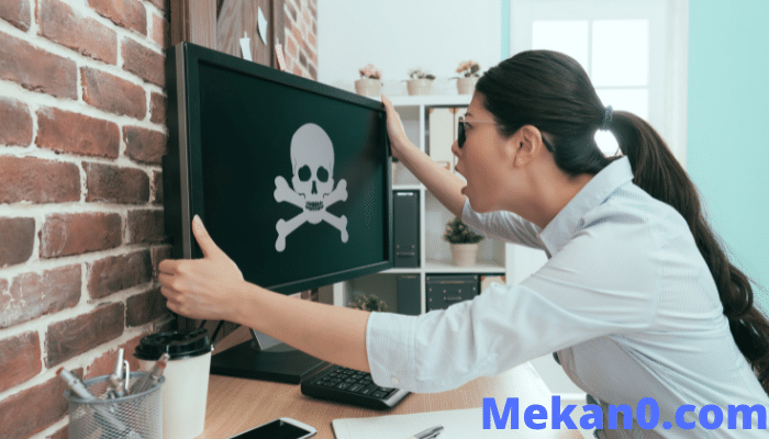 أكثر 20 فيروس خطورة على الإطلاق 2