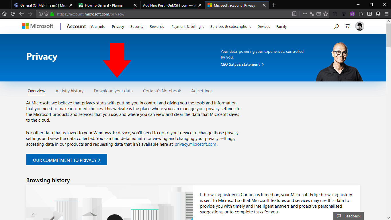 Nseta ihuenyo nke nbudata data Microsoft