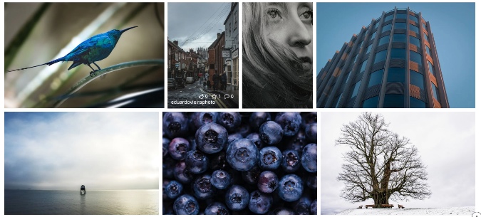 أفضل 10 بدائل لـ Shutterstock للحصول على صور مجانية 1