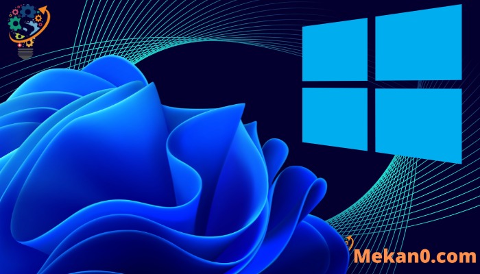 أنواع Windows 11: كيفية اختيار الإصدار المناسب 5