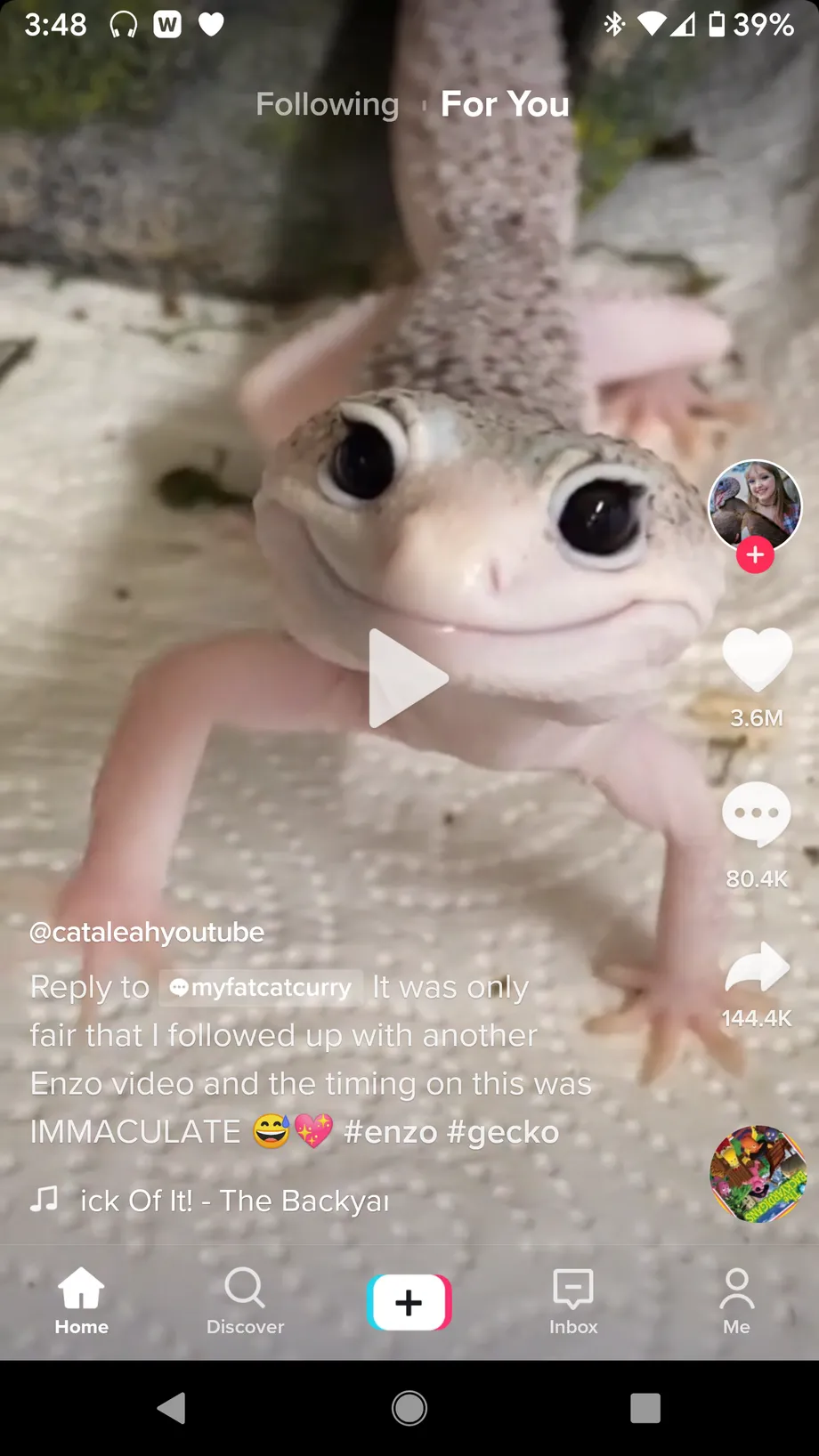 كيفية التقديم السريع عبر فيديو TikTok 2 كيفية التقديم السريع عبر فيديو TikTok 2