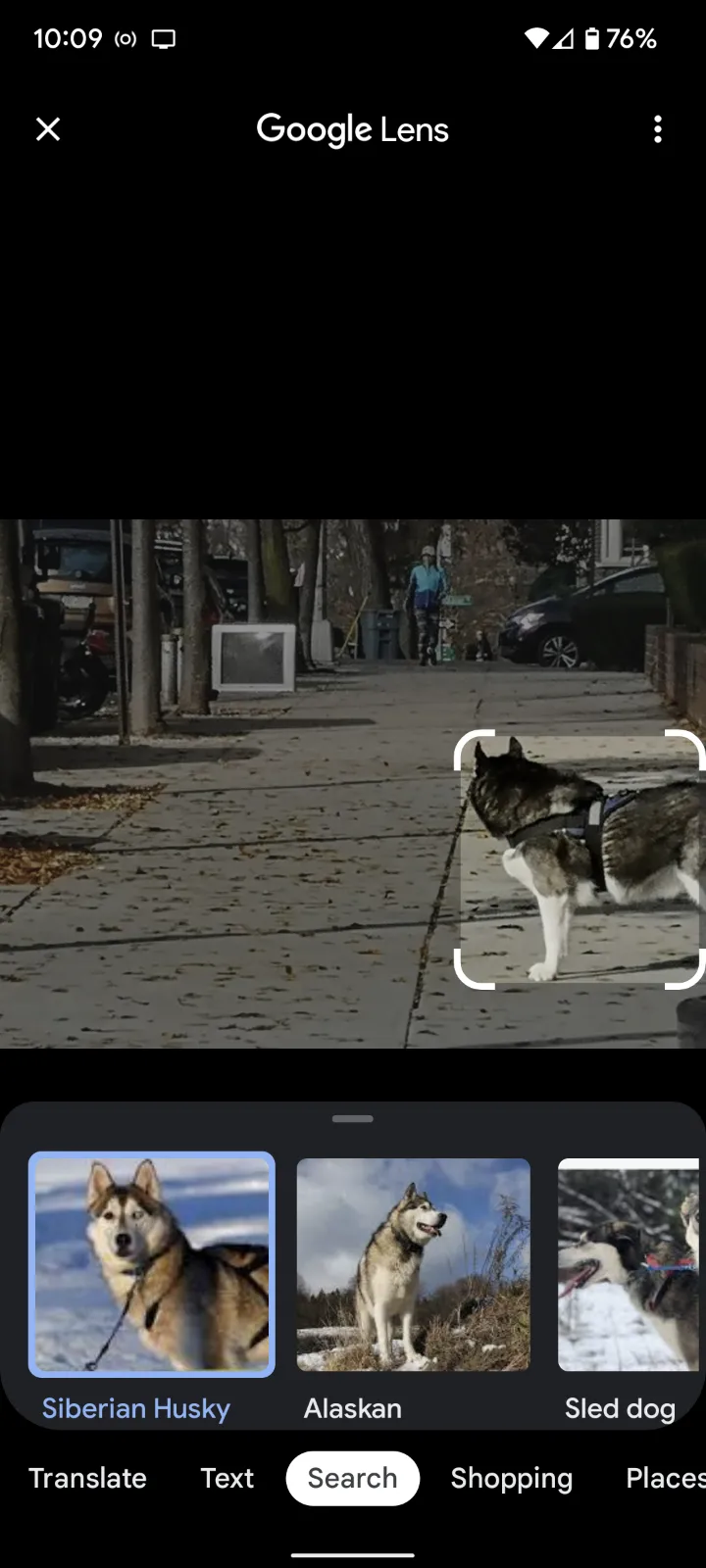 كيف تبدأ تجربة Google Lens 7 كيف تبدأ تجربة Google Lens 7