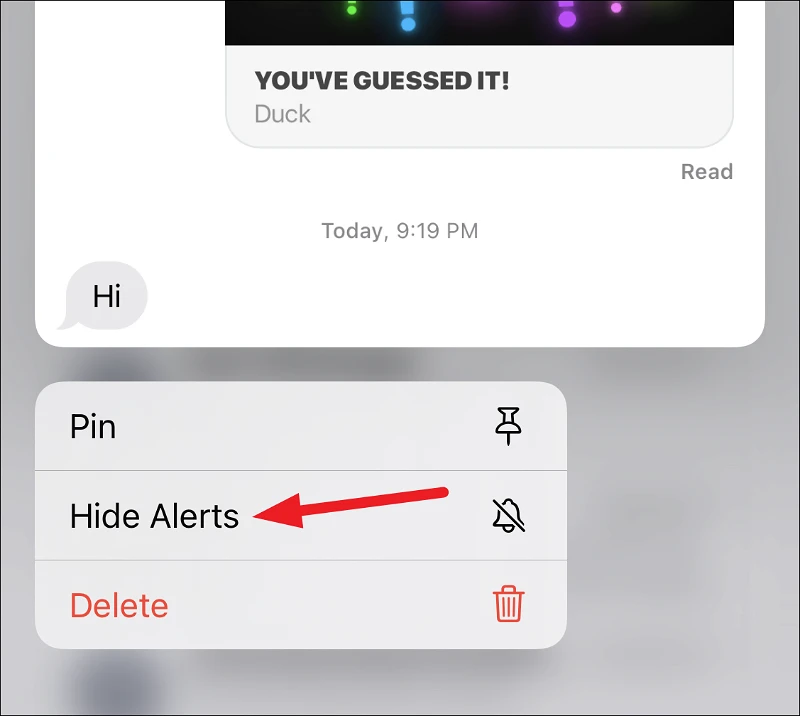 ماذا يفعل إخفاء التنبيهات في iMessage؟ 3