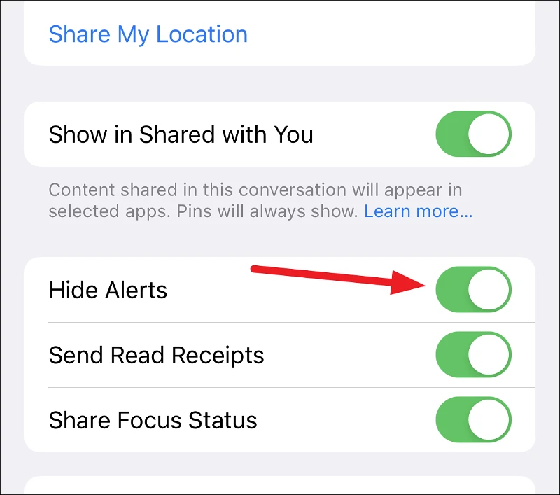 ماذا يفعل إخفاء التنبيهات في iMessage؟ 5