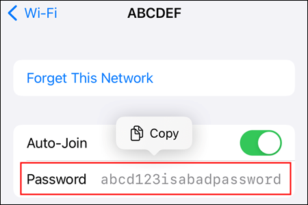 كيفية عرض كلمات مرور Wi-Fi المحفوظة على iPhone أو iPad 8