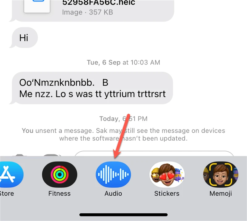 كيفية إرسال رسائل صوتية على iPhone بنظام iOS 16 2
