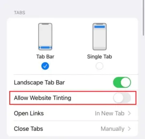 ما هو موقع الصبغ؟ كيفية التمكين والتعطيل في Safari 4