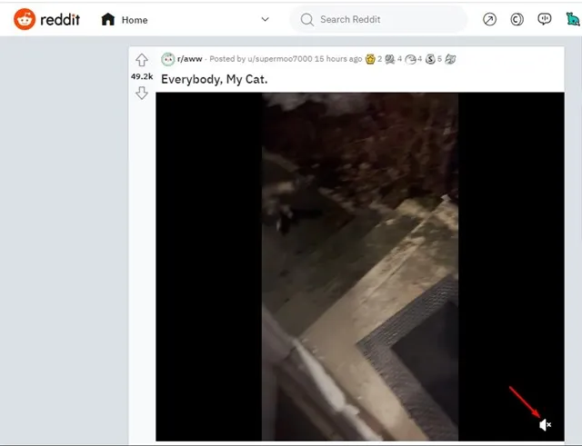 كيفية الحصول على الصوت على Reddit (الدليل الكامل) 2 كيفية الحصول على الصوت على Reddit (الدليل الكامل) 2