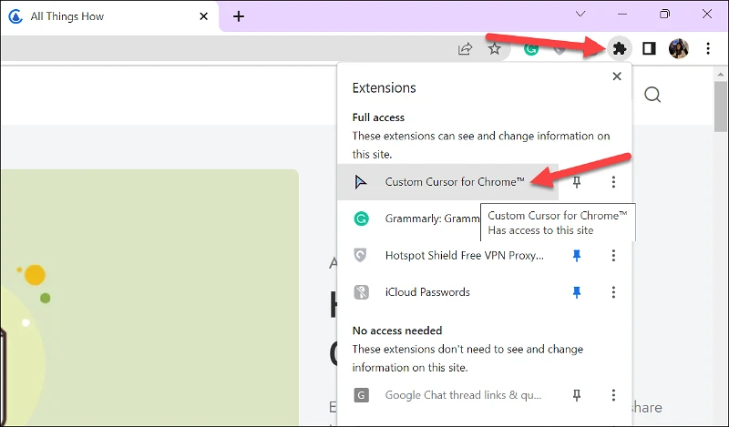 كيفية الحصول على مؤشر مخصص في Chrome 5
