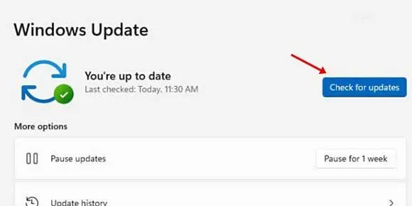 لن يتم فتح Steam؟ أفضل 8 طرق لإصلاحه 16