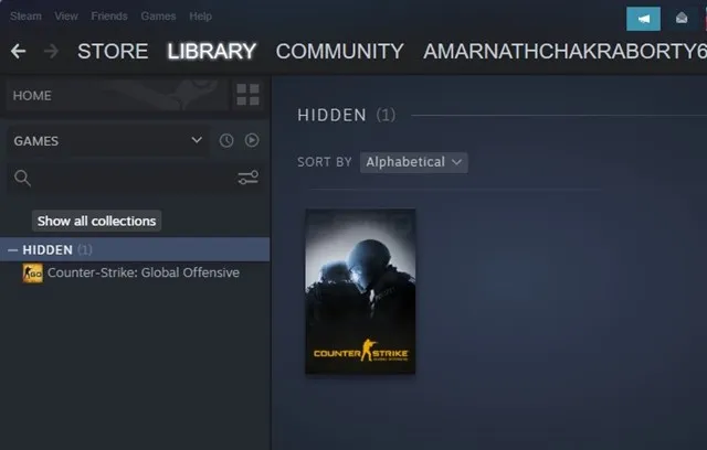 كيفية عرض الألعاب المخفية على Steam في عام 2024 5