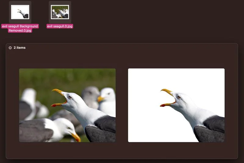macOS: كيفية إزالة الخلفية من صورة 2