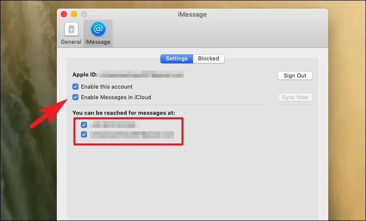 كيفية إضافة رقم الهاتف إلى iMessage على Mac 11