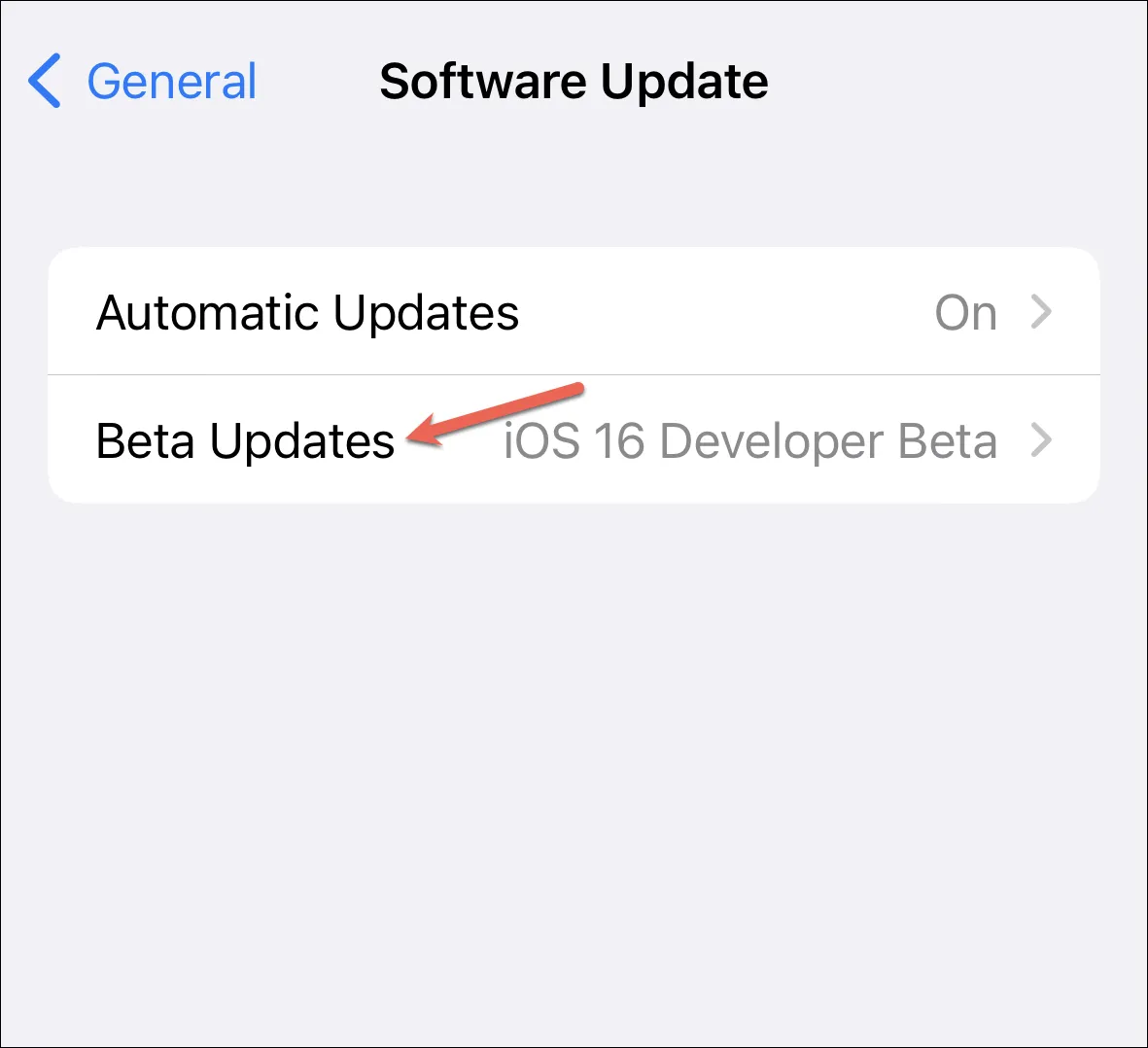 كيفية تمكين تحديثات بيتا على iPhone و iPad 4