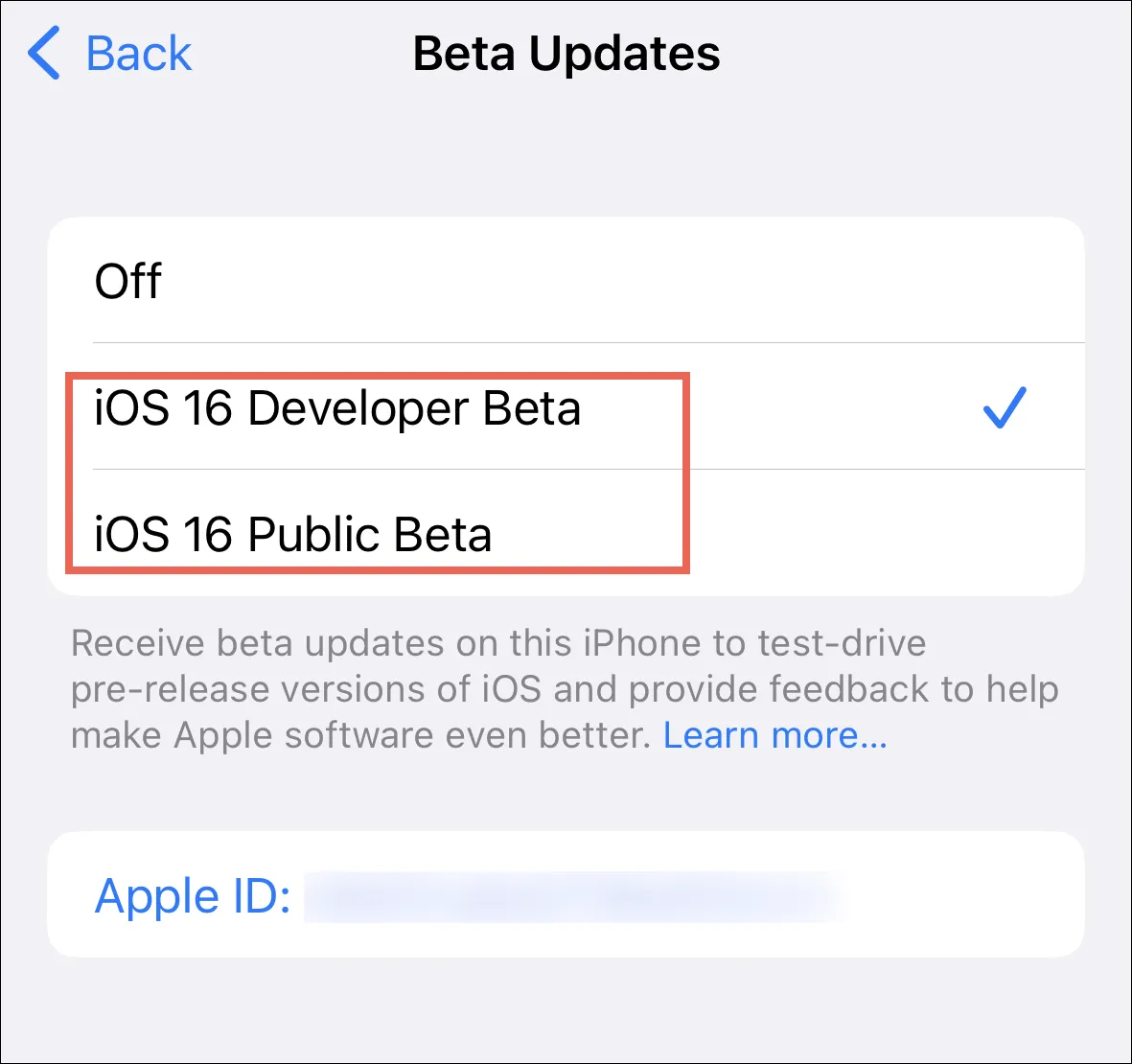 كيفية تمكين تحديثات بيتا على iPhone و iPad 5