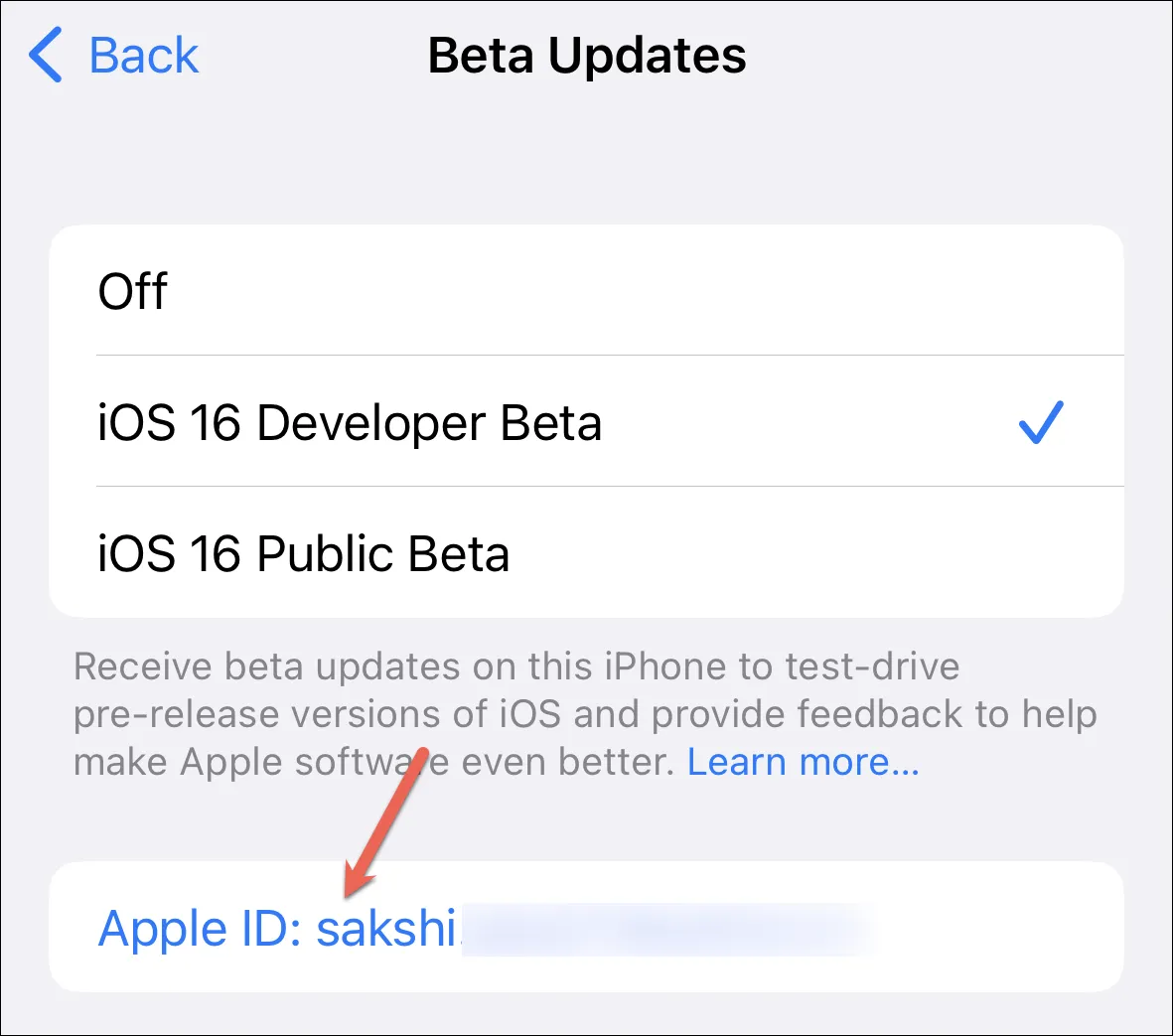 كيفية تمكين تحديثات بيتا على iPhone و iPad 6