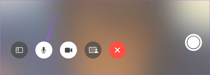 كيفية كتم صوت شخص ما في FaceTime على iPhone و iPad و Mac 9