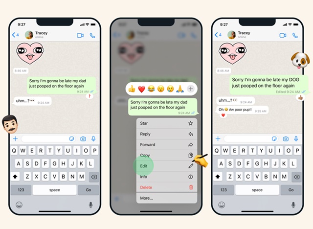 كيفية تحرير الرسائل المرسلة على WhatsApp 1
