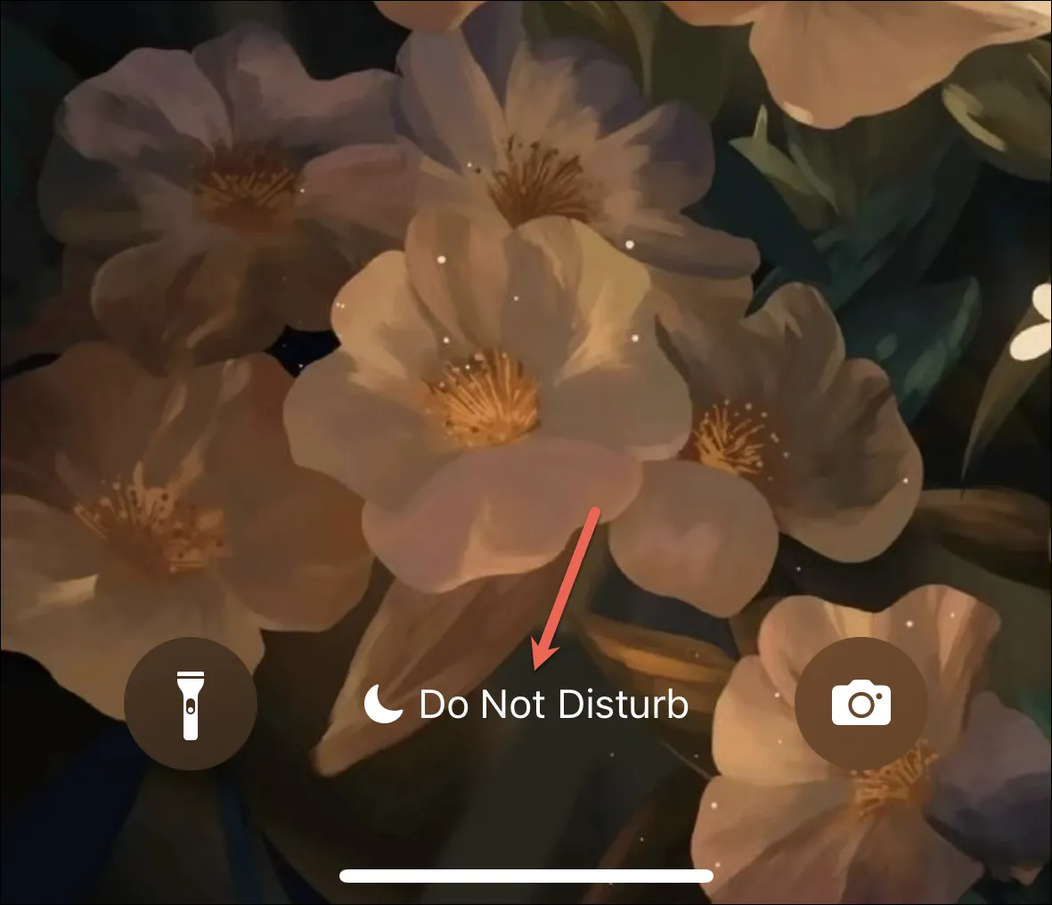 كيفية تعطيل خاصية "عدم الإزعاج" على iPhone 2