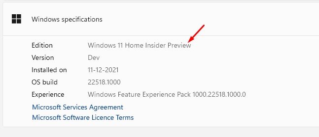 كيفية التحقق من إصدار Windows 11 (6 طرق) 10