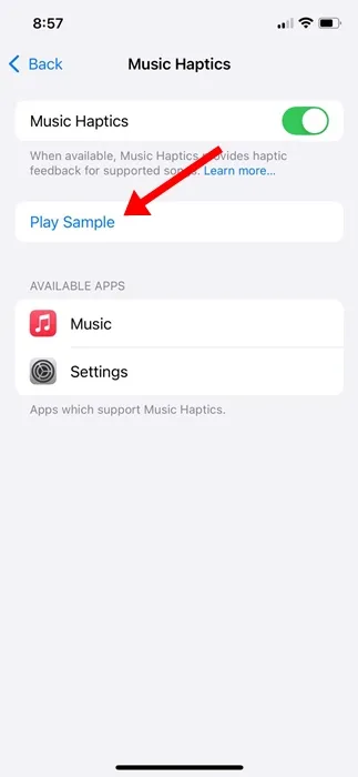 iPhone (iOS 18) で音楽触覚機能を有効にする方法 6
